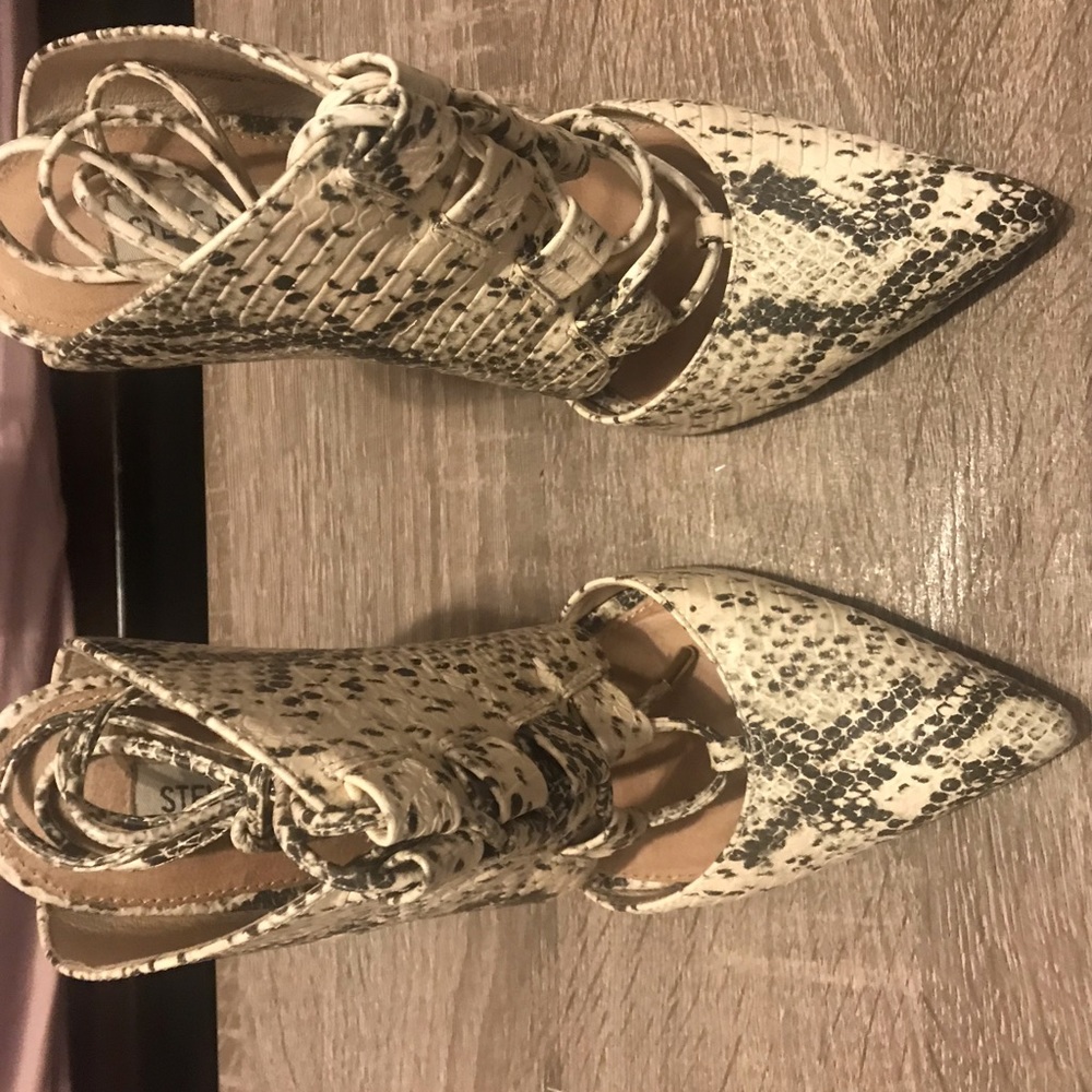 Steve Madden Warnerr